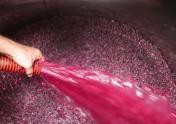 WINERY