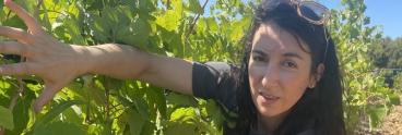 Claudine in the vines