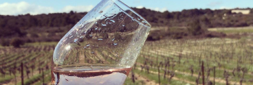 Glass of rosé