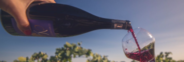 bottle