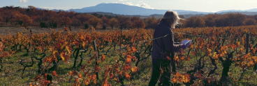 mont Ventoux