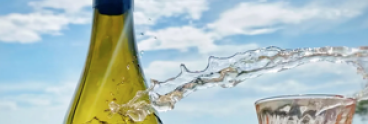 bottle