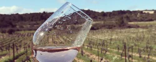 Glass of rosé