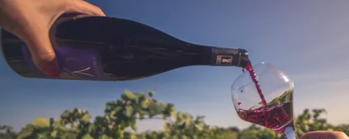 bottle
