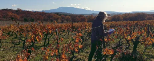 mont Ventoux