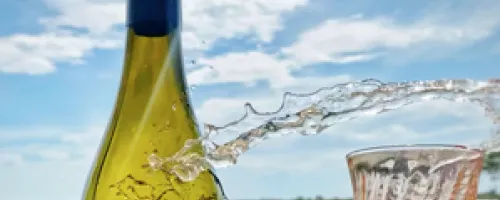 bottle